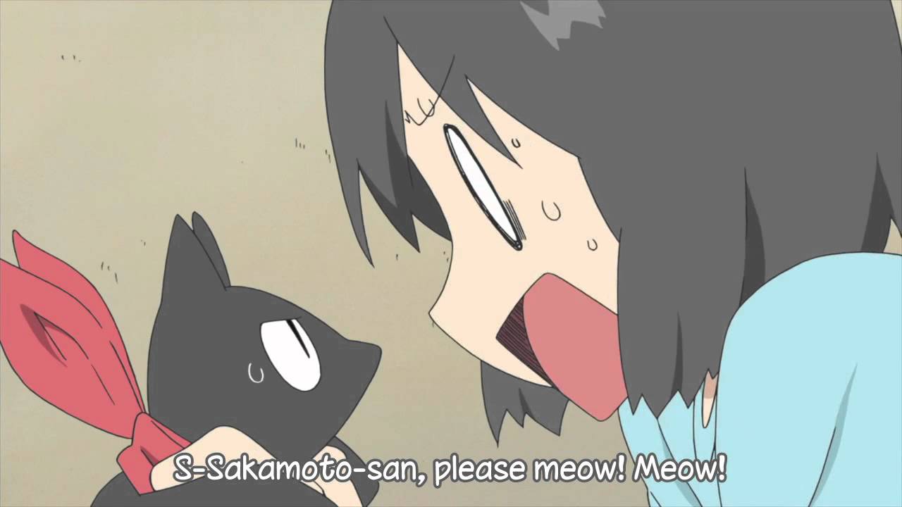 Anime Cat of the Day 🐾 — Today's anime cat of the day is:Sakamoto from