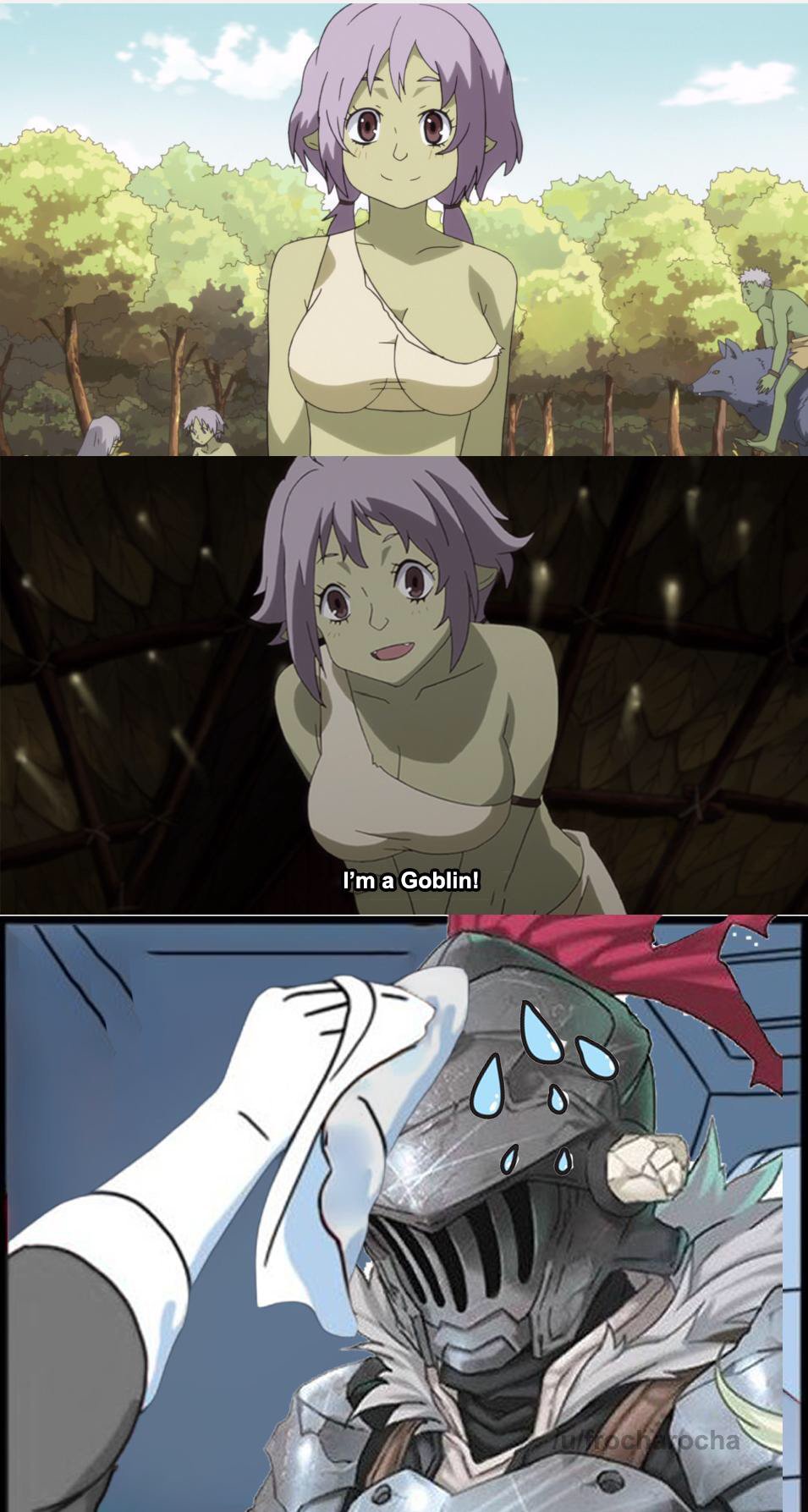 Goblin Slayer' Censors Sensitive High Elf Scene