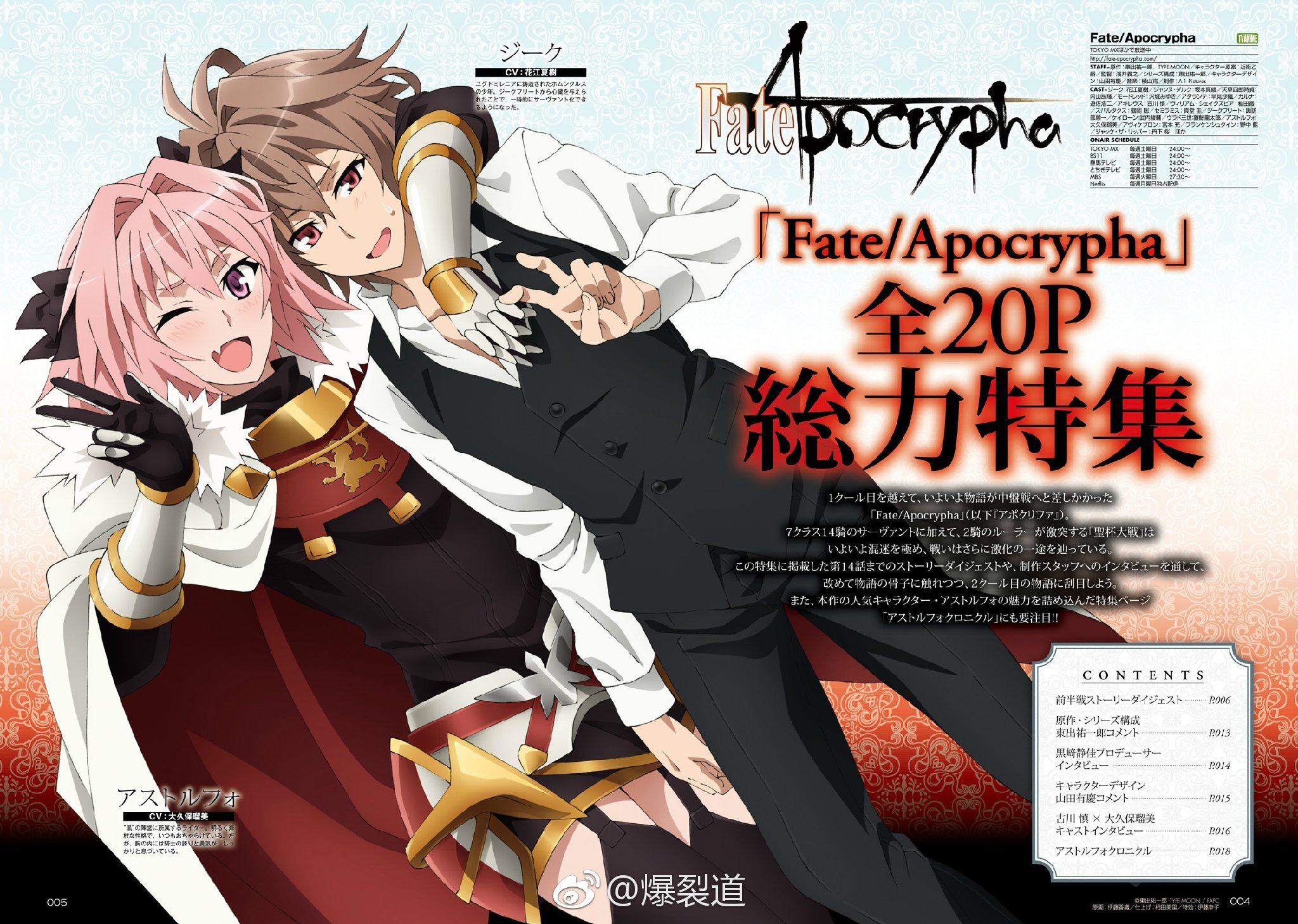 A Disappointment –Fate/apocrypha