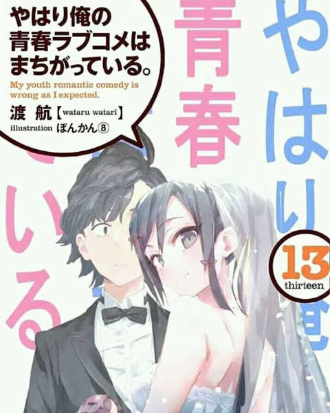 My Youth Romantic Comedy Is Wrong, As I Expected, Vol. 14 (light novel) (My  Youth Romantic Comedy Is Wrong, As I Expected, 14)