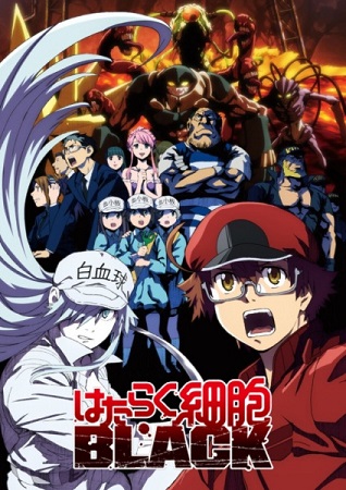 Hataraku Saibou Black Tv Cells At Work Code Black Myanimelist Net