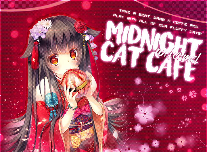 midnight cat family