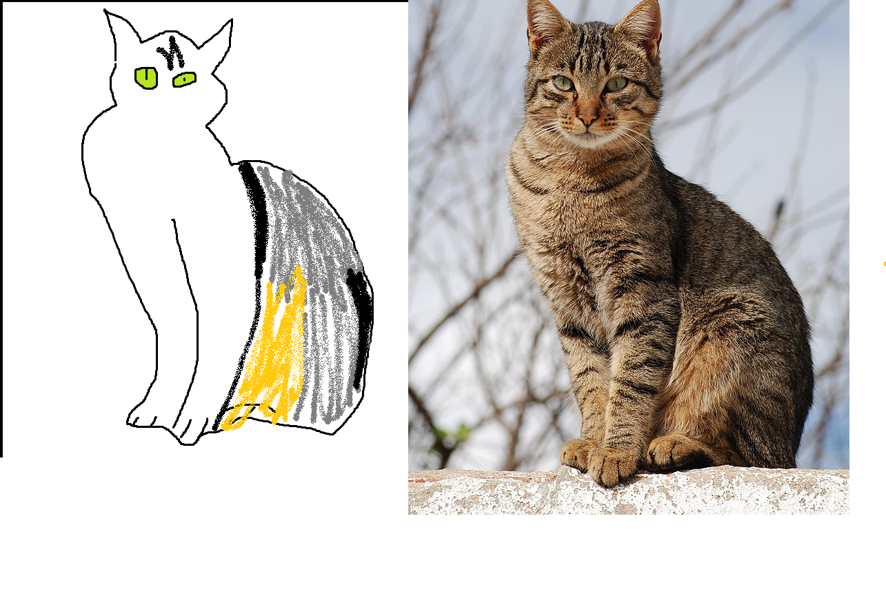can-you-draw-cats-well-forums-myanimelist