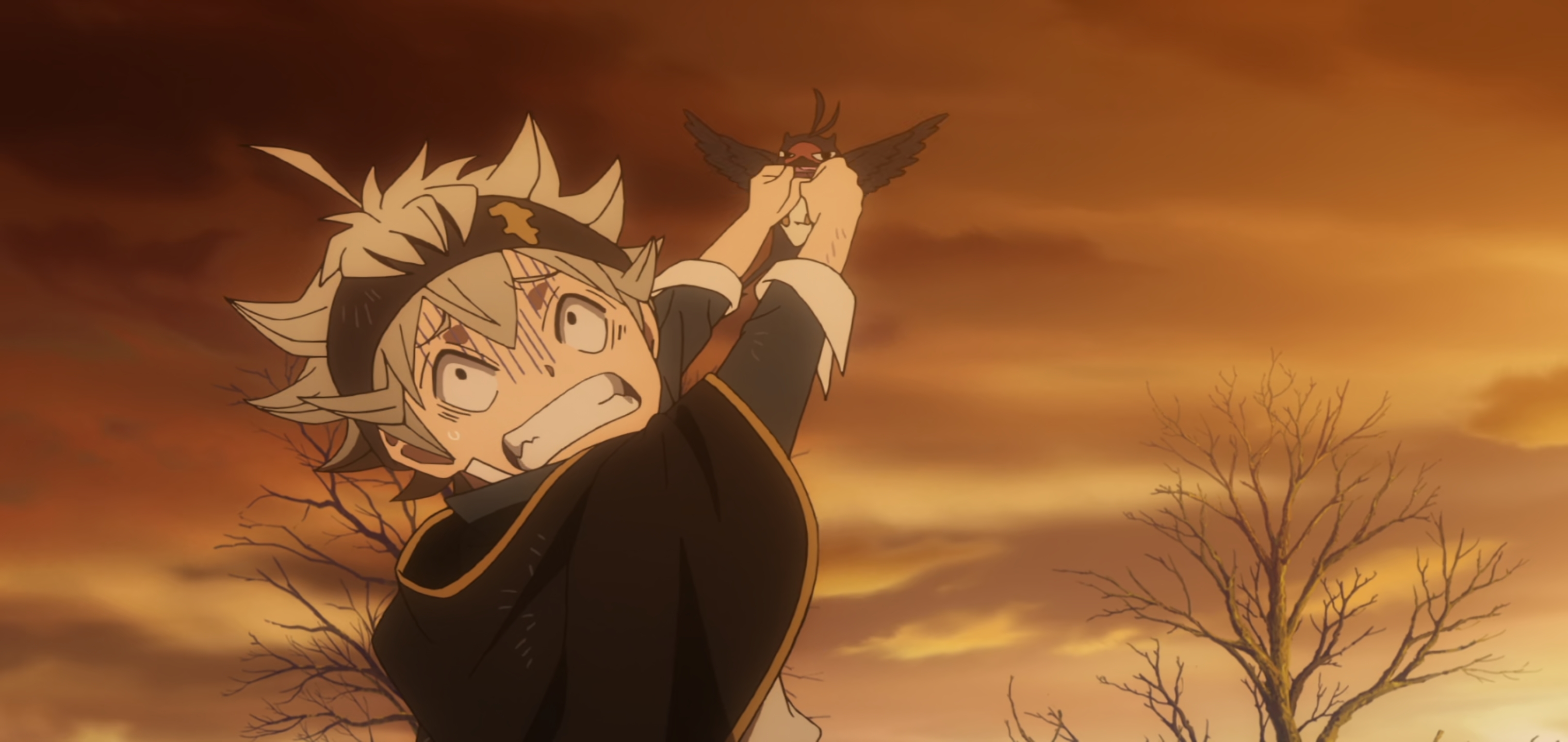 How can Asta even become the Wizard King? - Forums - MyAnimeList.net