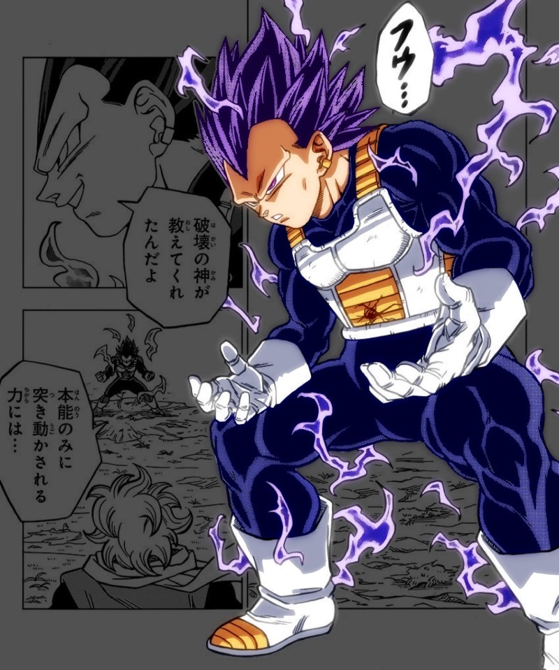 Vegeta  Anime Destruction