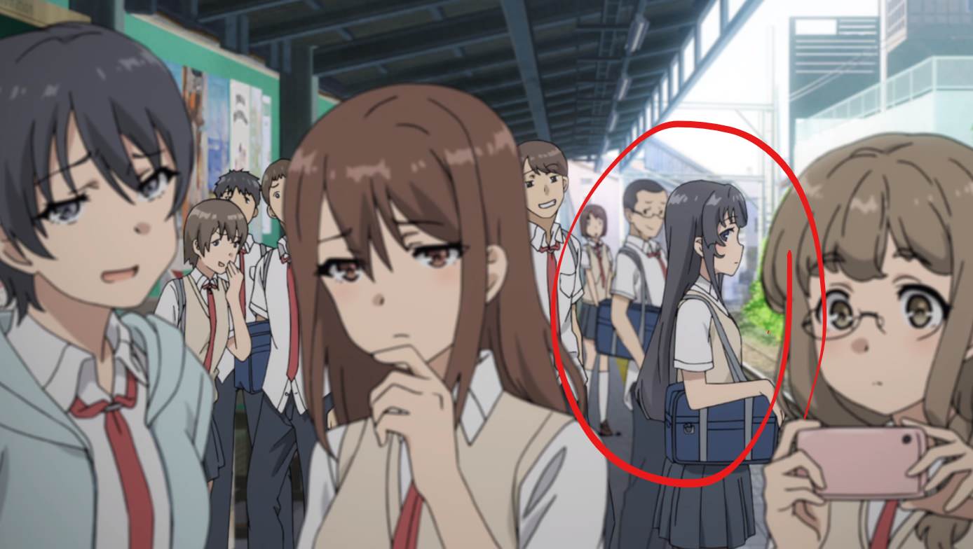 Sakuta Azusagawa  Seishun Buta Yarou wa Bunny Girl Senpai no Yume