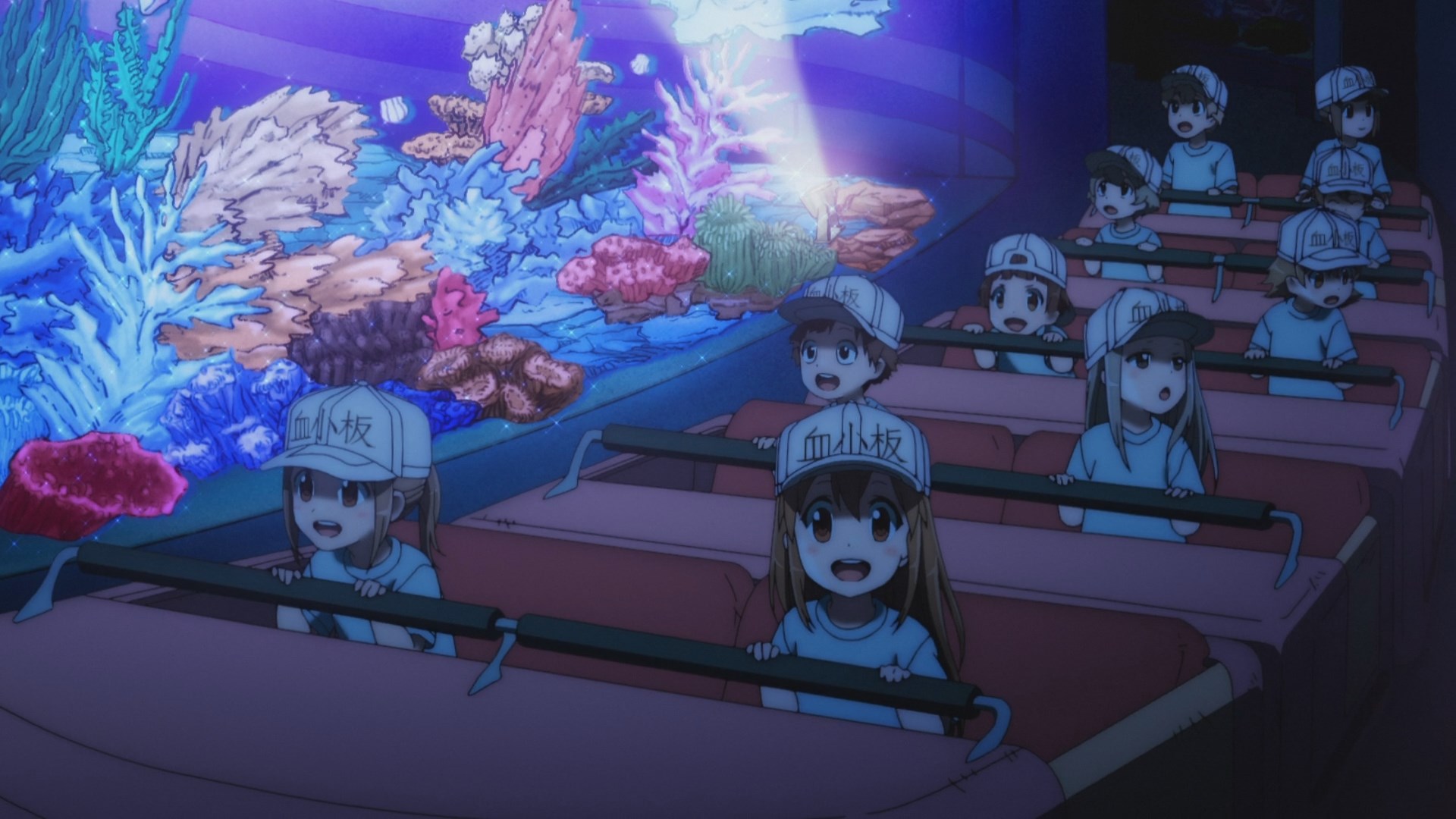 Attack of Platelets  Hataraku Saibou/Cells at work 