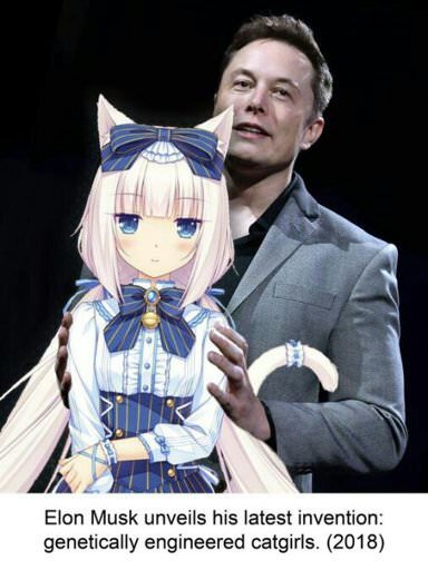 Elon Musk declare love for anime (20 - ) - Forums 