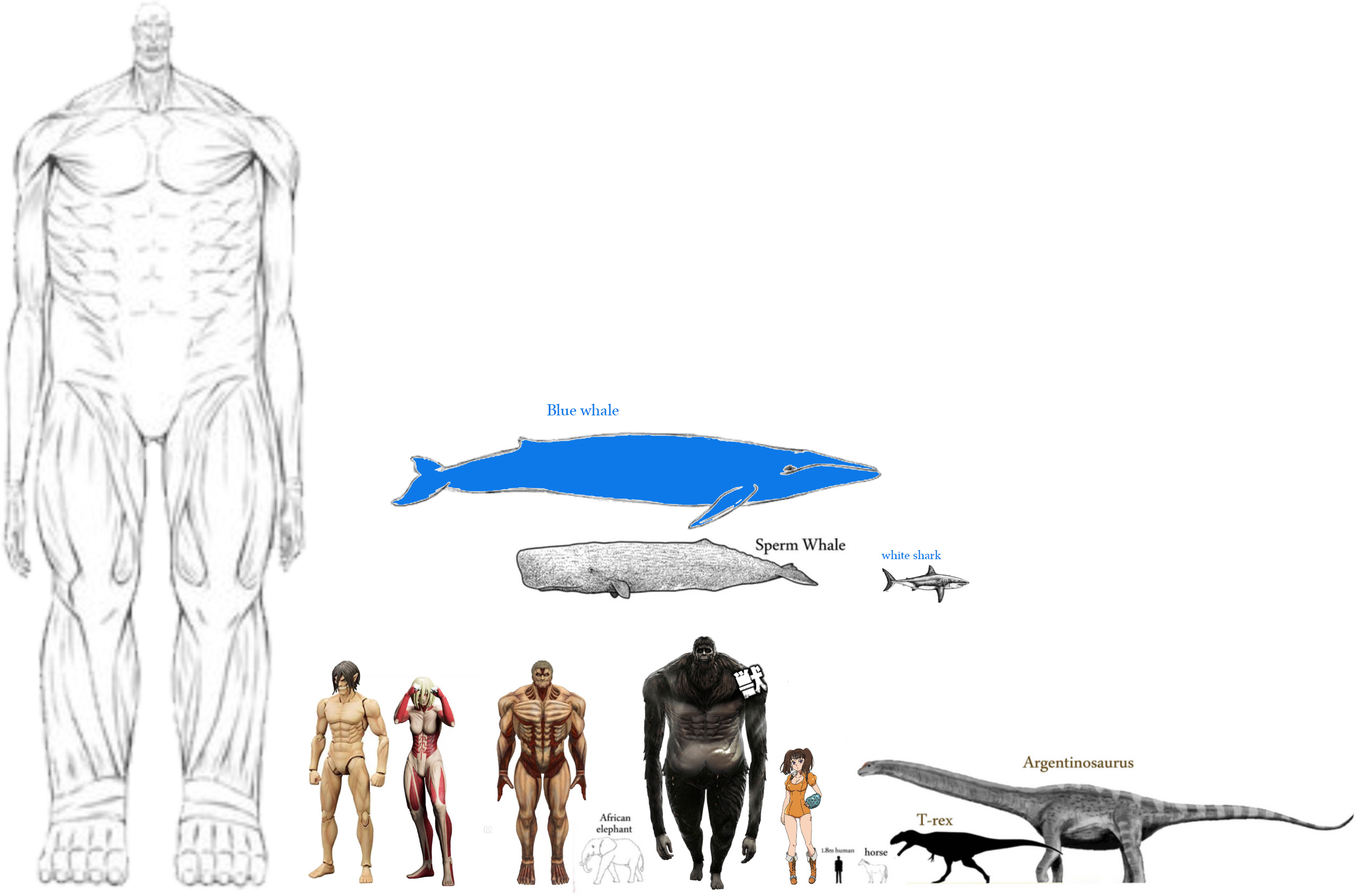 Featured image of post Attack On Titan Size Comparison : Attack on titan characters size comparison season 3 the video contains different characters with their respective heights.