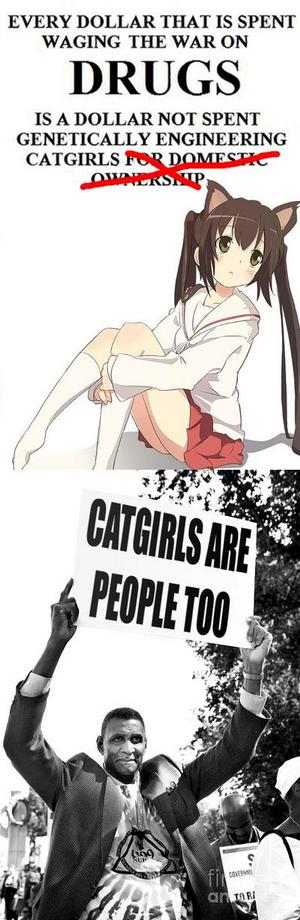 Petition · Genetically engineer Catgirls for domestic ownership! ·