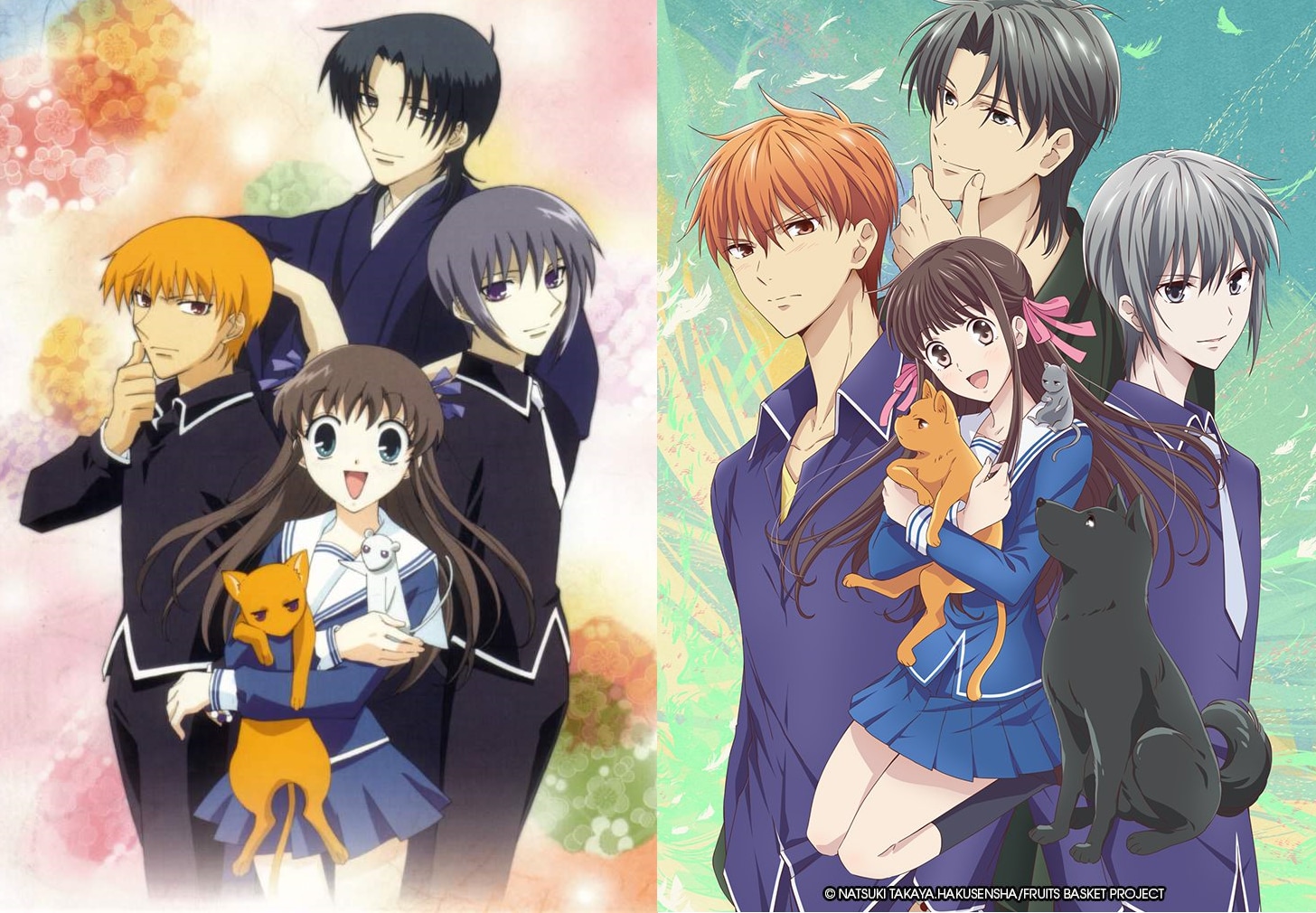 Fruits Basket (2019) – 1st Season – At a Glance Anime