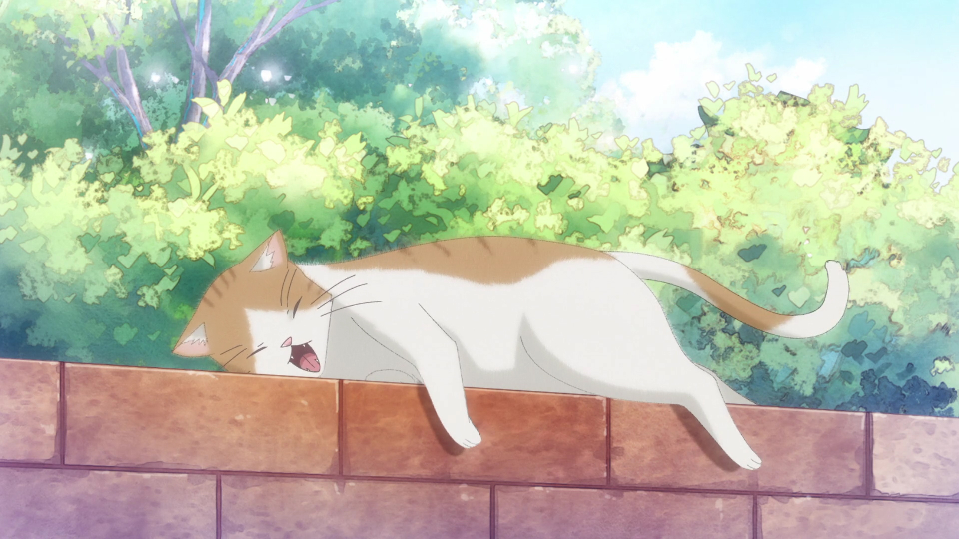 Sasaki and miyano kiss