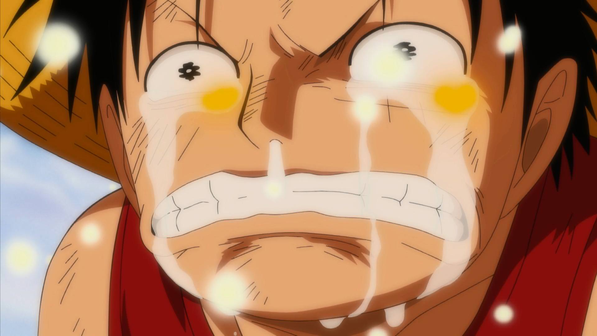 Funeral of Going merry, One Piece Episode 312