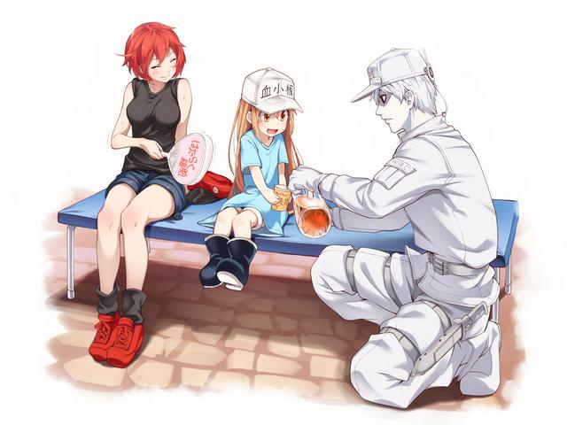 Anime Waifus on X: White Blood Cells Face Forward Anime: Hataraku Saibou  Black  / X