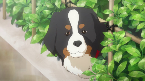 Who is the best Dog in Anime? - Forums 