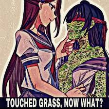 Not only is go touch grass animephobic, it is also Islamaphobic. :  r/LoveForAnimesexuals