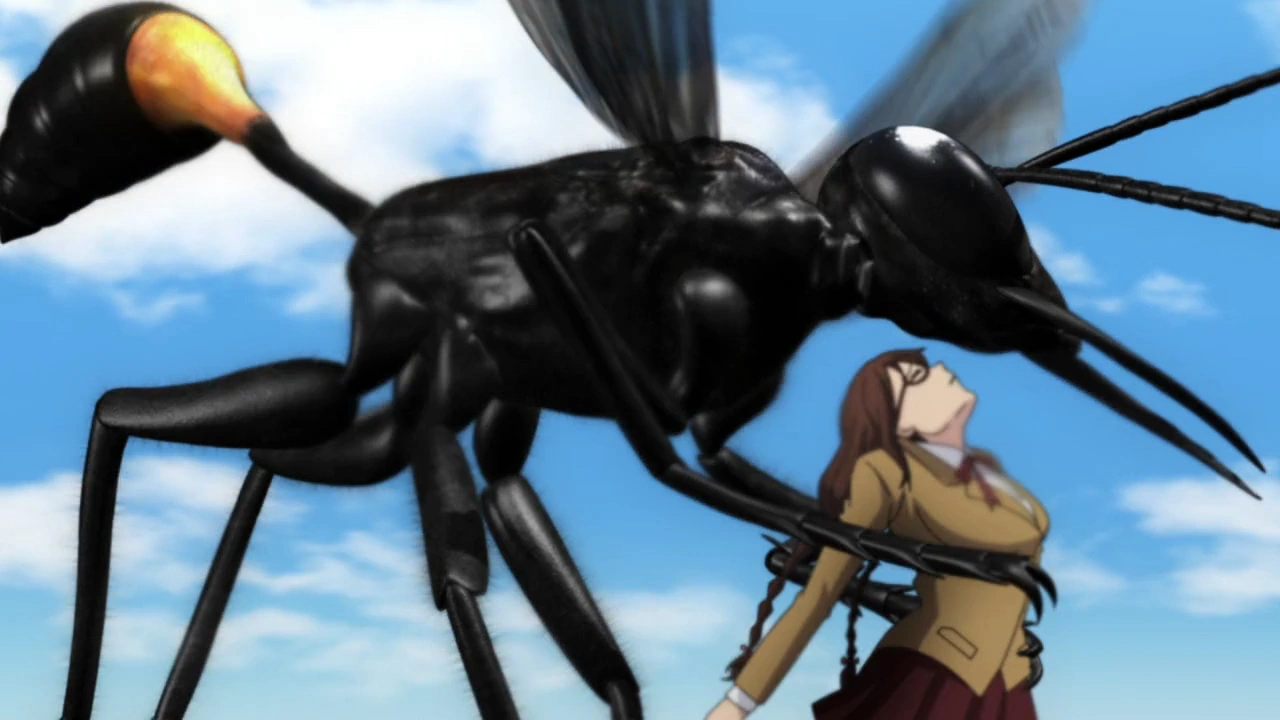 Animals you'd like to see in anime besides cats and dogs - Forums ...