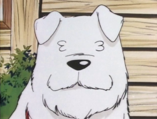 Who is the best Dog in Anime? - Forums 