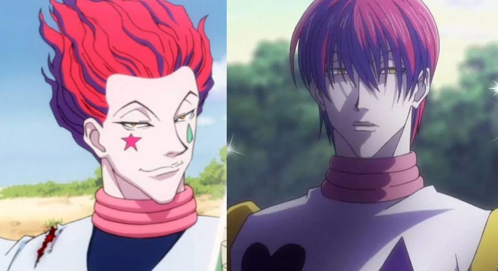 hisoka 2011 hair down