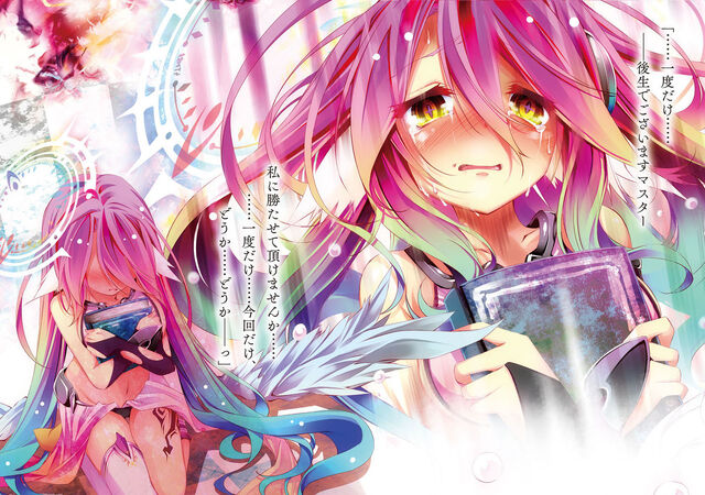 No Game No Life  Light Novel 