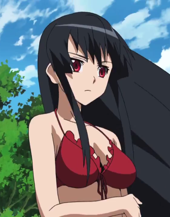 There is much more fan service in Akame than I thought there was, and I&apo...