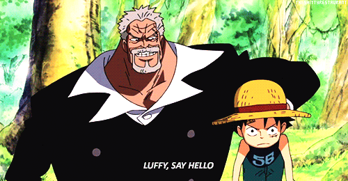 Bald luffy  Luffy, Personagens de anime, Meme one piece