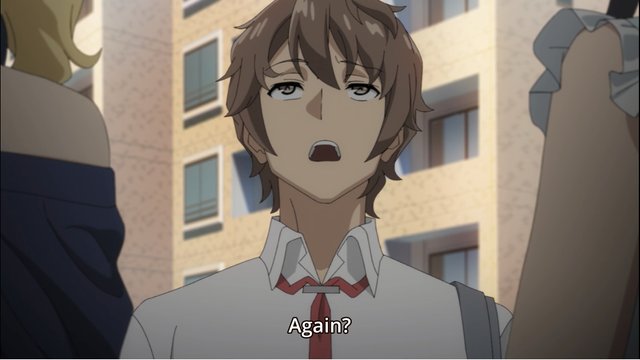 Seishun Buta Yarou wa Bunny Girl Senpai no Yume wo Minai: Things to Do –  Sister/Brother Complex