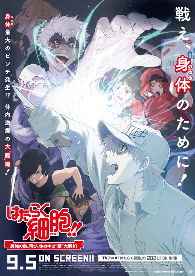 otakujp on X: Manga Cells at Work! will be ended in the next episode. The  last arc is about Covid-19. There are enemies that cannot be overlooked  The anime Season 2 starts