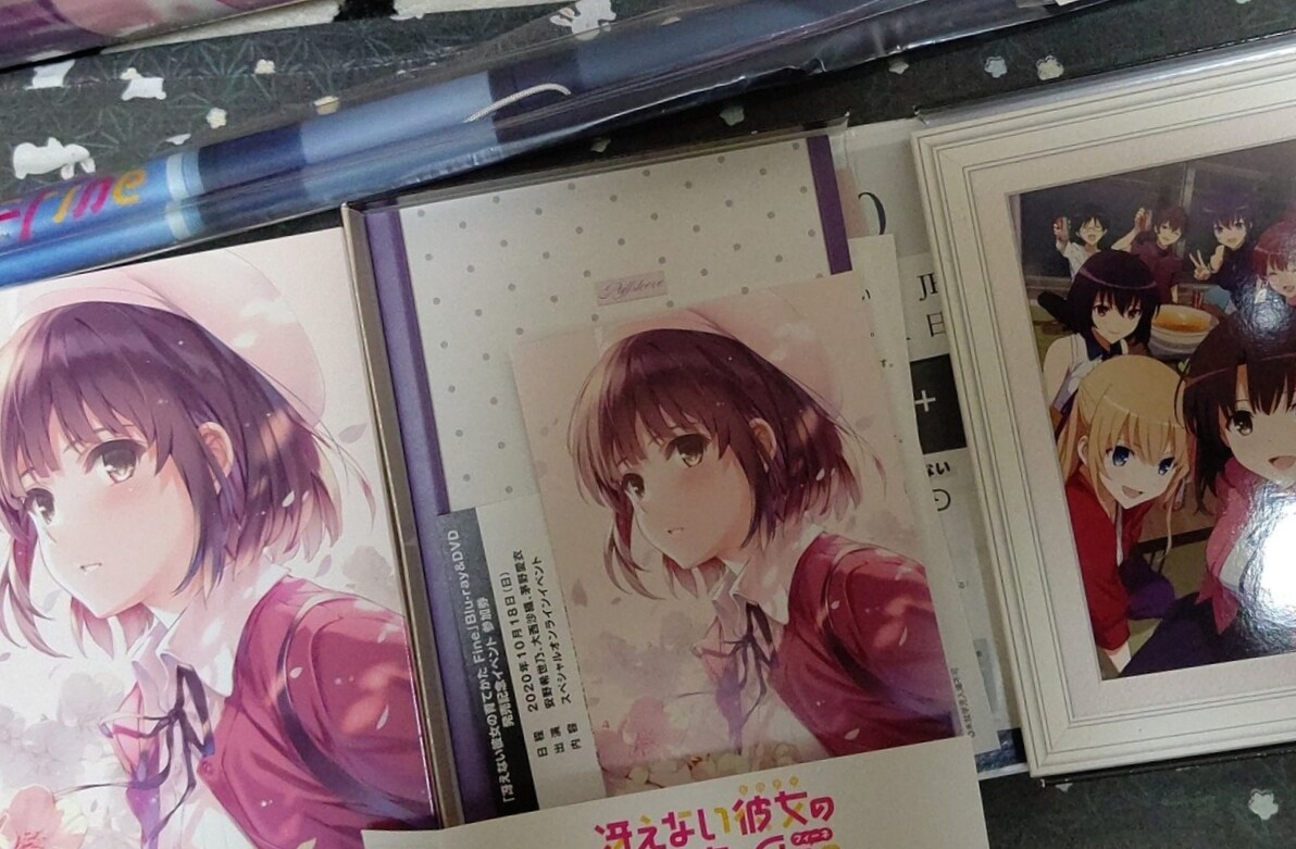 SAENAI HEROINE NO SODATEKATA FINE THE MOVIE - ANIME MOVIE DVD BOX SET