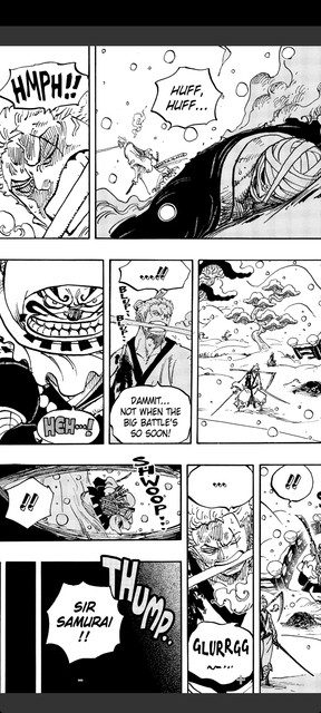 Read One Piece 1032: Zoro Troubled Fighting King!