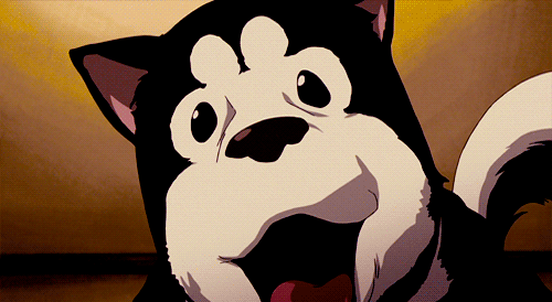 Black Hayate is a cute anime dog from Full Metal Alchemist: Brotherhood