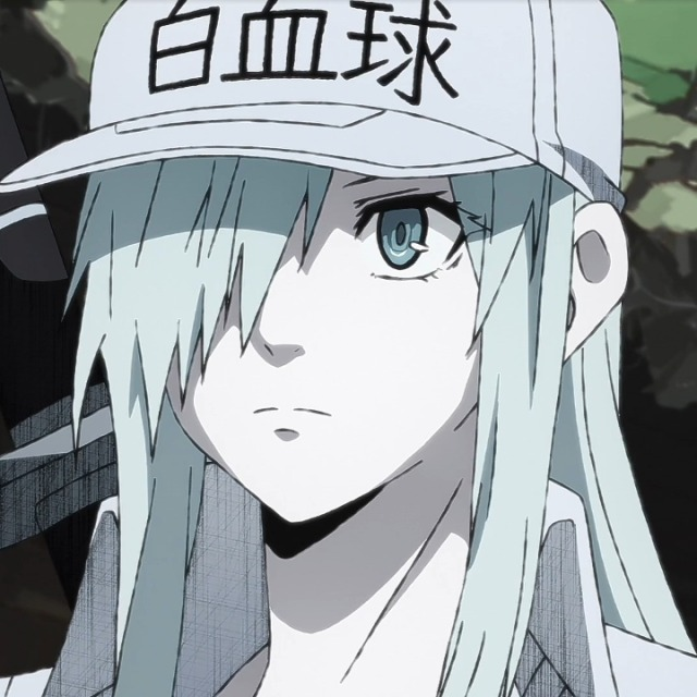 Anime Waifus on X: White Blood Cells Face Forward Anime: Hataraku Saibou  Black  / X