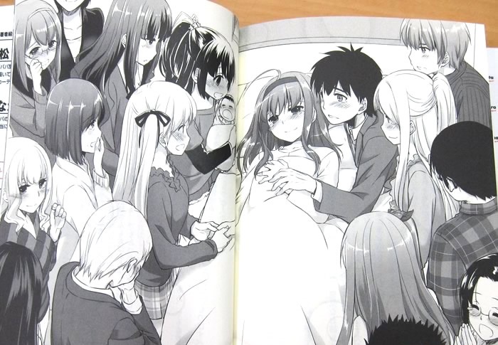 Shomin Sample Light Novel Ending