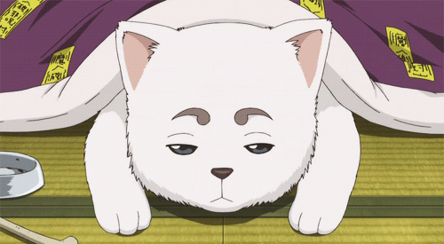 Sadaharu is a cute anime dog from Gintama