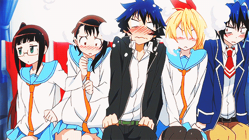 Featured image of post Anime Like Nisekoi Myanimelist Find out more with myanimelist the world s most active online anime and manga community and database