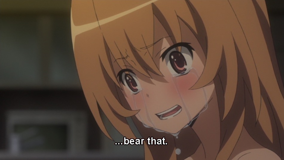 Featured image of post Toradora Episode 22 Discussion Please report any issue if you found one