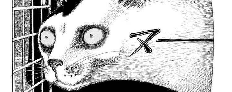 Junji Ito's Cat Diary: Yon & Mu by Ito, Junji