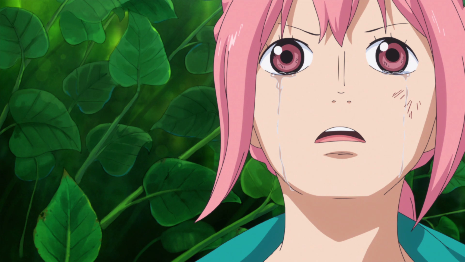 One Piece Episode 716 Discussion Forums Myanimelist Net