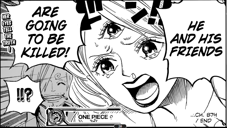 One Piece 874