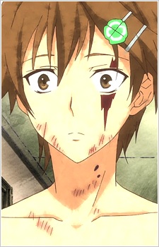 Myanimelist Net