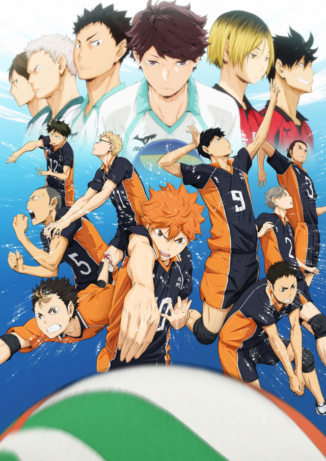 Laminated Haikyuu Poster Karasuno High School Volleyball Team