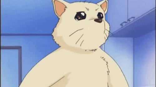 Top 20 Cute Anime Dogs - Menchi - Heppoko Jikken Animation Excel♥Saga