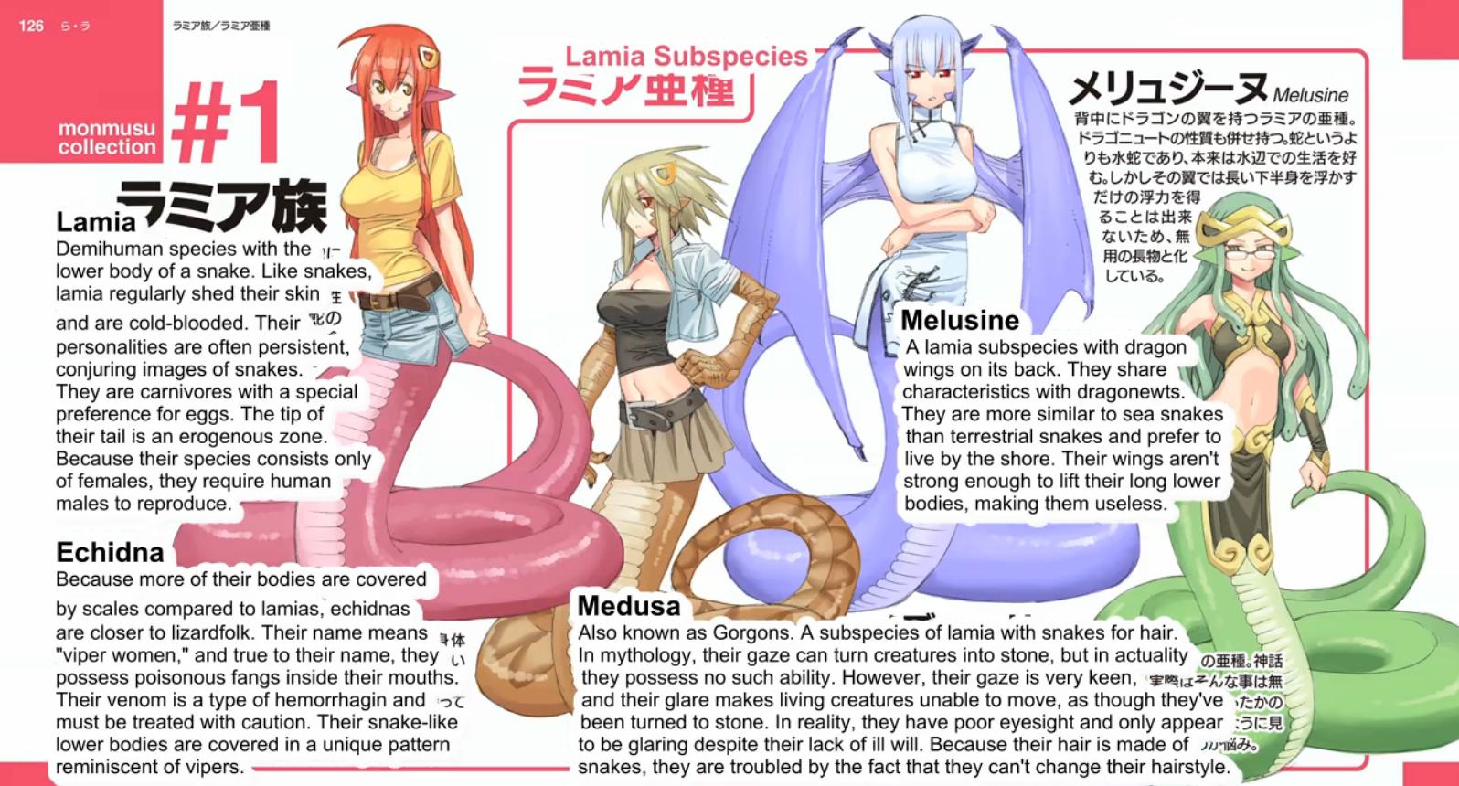 Monster Musume no Iru Nichijou Episode 1 Discussion - Forums -  MyAnimeList.net