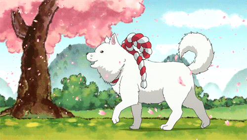 Shiro is a cute anime dog from Hoozuki no Reitetsu