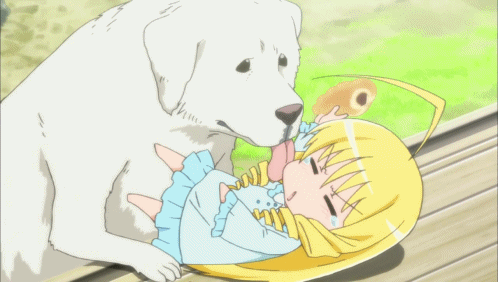 Armageddon is a cute anime dog from Hayate the Combat Butler! Cuties