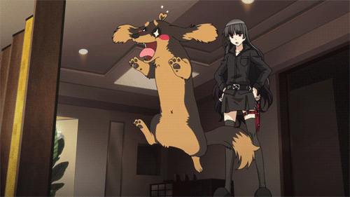 Top 20 Cute Anime Dogs - Kazuhito Harumi - Inu to Hasami wa Tsukaiyou (Dog & Scissors)