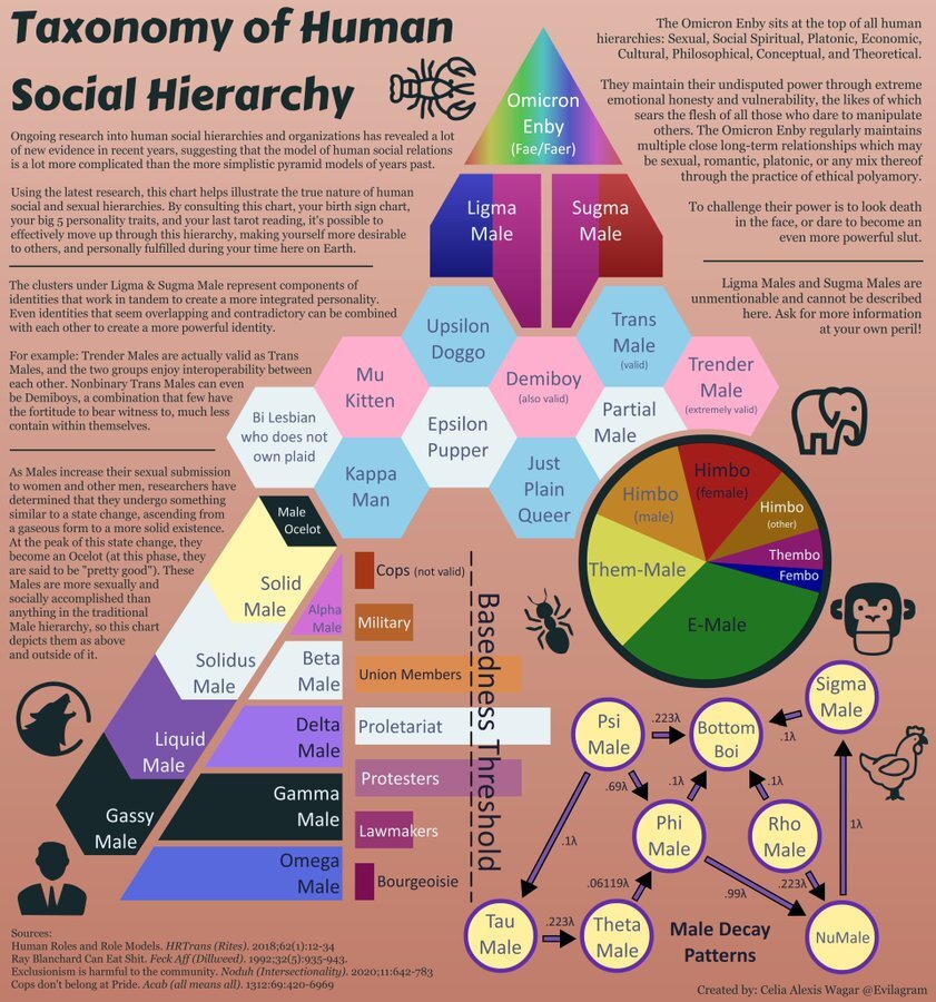 Male Archetypes And The Socio Sexual Hierarchy Forums 6830