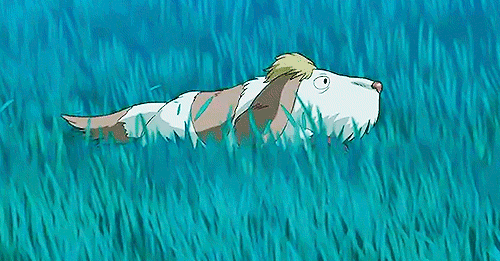 Image result for heen howl's moving castle gif