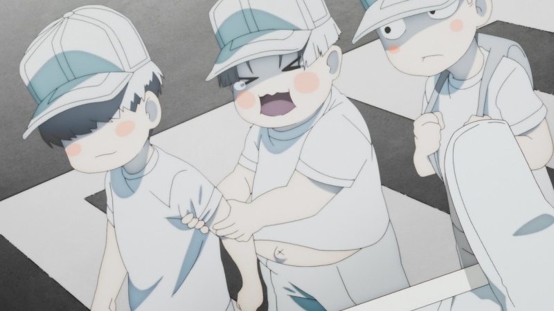 MyAnimeList on X: Hataraku Saibou (Cells at Work!) second season announces  new cast for theatrical episode screening on September 5; second season  premieres in January 2021 #はたらく細胞    / X