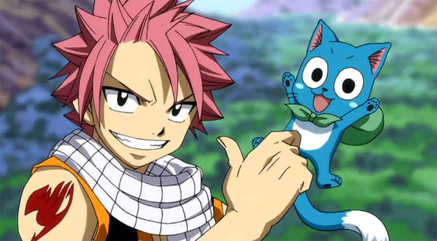 Natsu Dragneel, Wiki